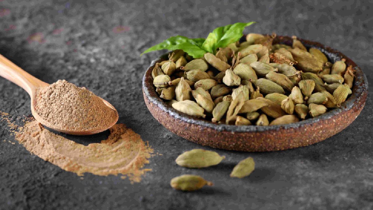 cardamom production,cardamom distributors,best quality cardamom,Cardamom suppliers