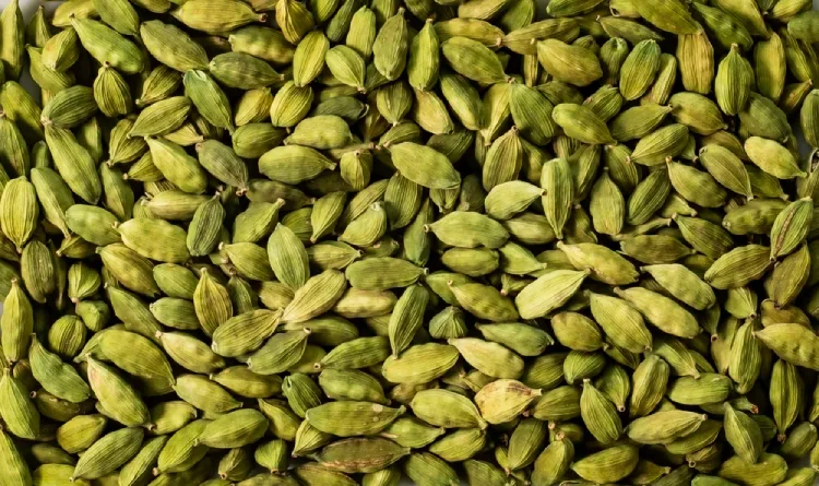 cardamom production,cardamom distributors,best quality cardamom,Cardamom suppliers