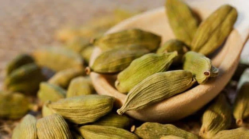 cardamom production,cardamom distributors,best quality cardamom,Cardamom suppliers