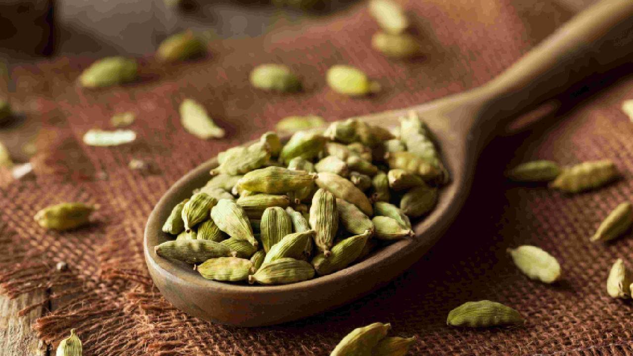 cardamom production,cardamom distributors,best quality cardamom,Cardamom suppliers