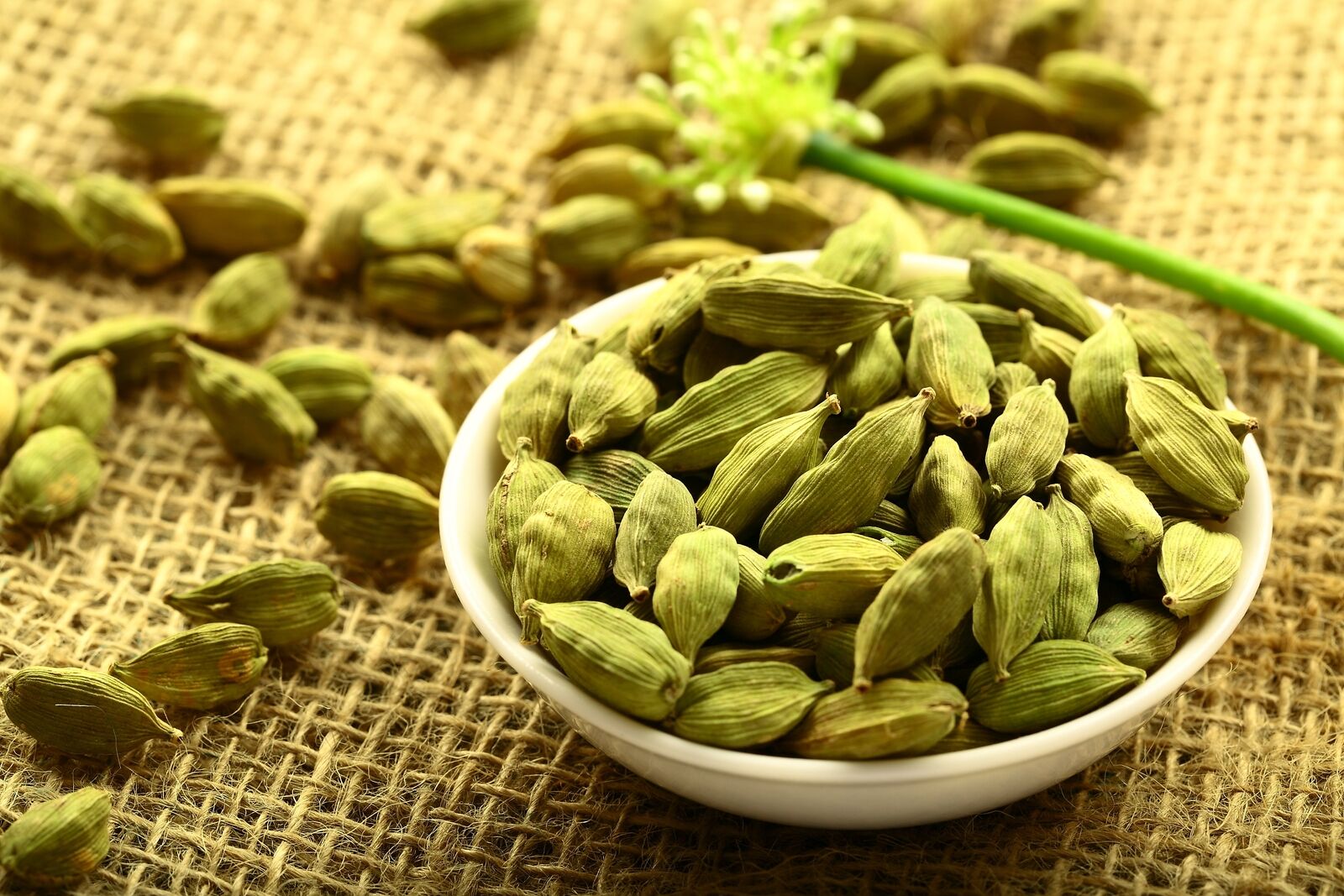 cardamom production,cardamom distributors,best quality cardamom,Cardamom suppliers