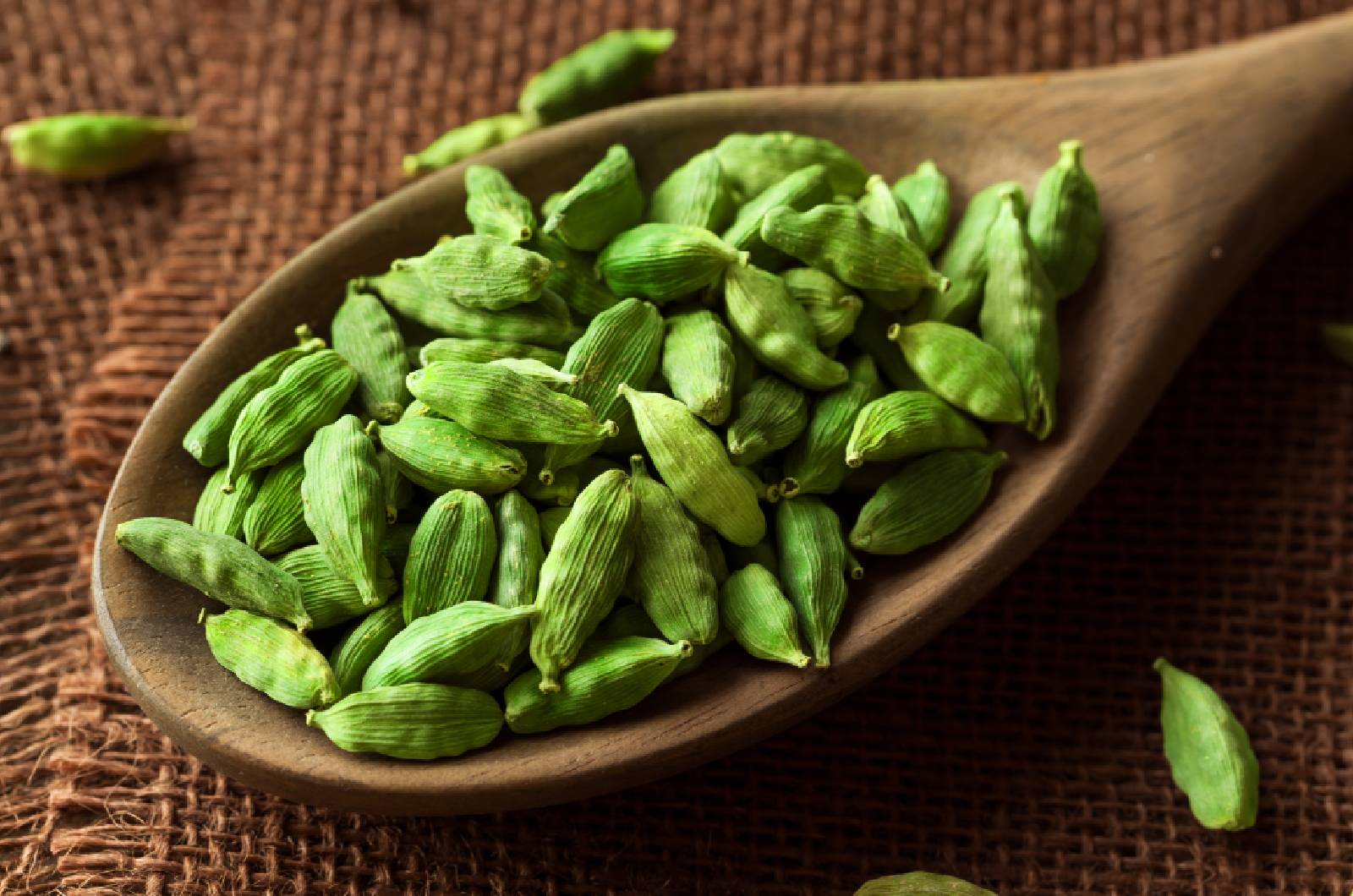 Best Quality Indian Cardamom - Fresh Green Pods