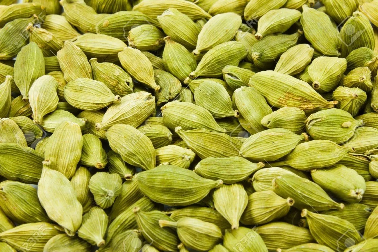 cardamom production,cardamom distributors,best quality cardamom,Cardamom suppliers