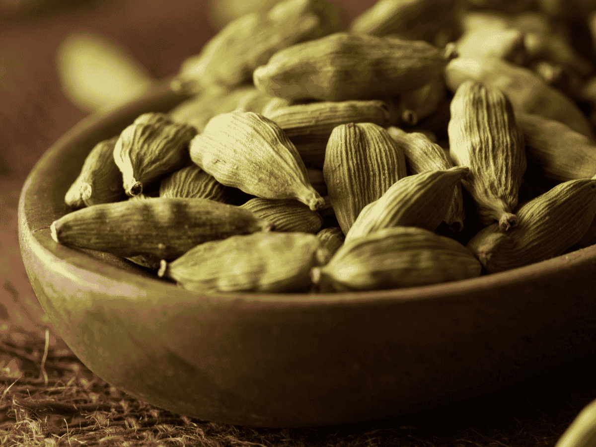 cardamom production,cardamom distributors,best quality cardamom,Cardamom suppliers