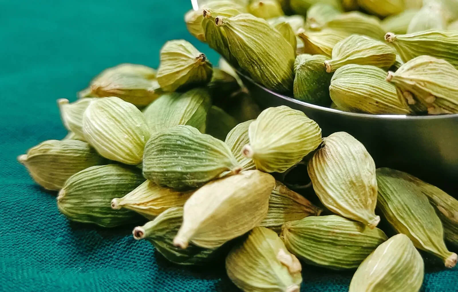 cardamom production,cardamom distributors,best quality cardamom,Cardamom suppliers