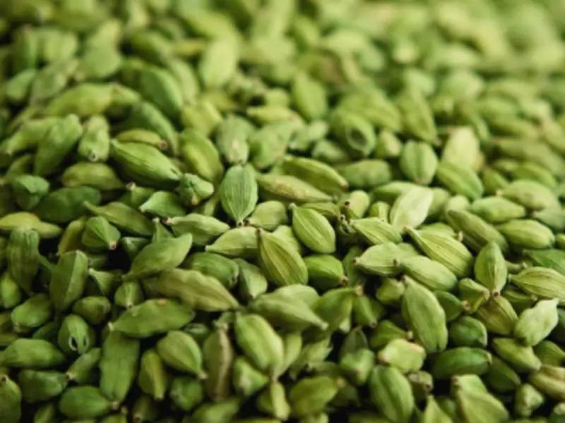 green cardamom,green cardamom exporters,green cardamom suppliers,best quality green cardamom,green cardamom spices