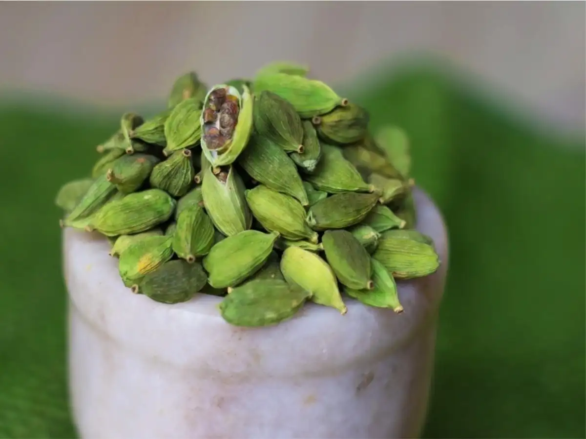 green cardamom, green cardamom spices, best green cardamom, green cardamom suppliers, green cardamom seeds, green elaichi, elaichi green cardamom, fresh green cardamom