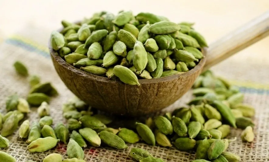 green cardamom, green cardamom spices, best green cardamom, green cardamom suppliers, green cardamom seeds, green elaichi, elaichi green cardamom, fresh green cardamom